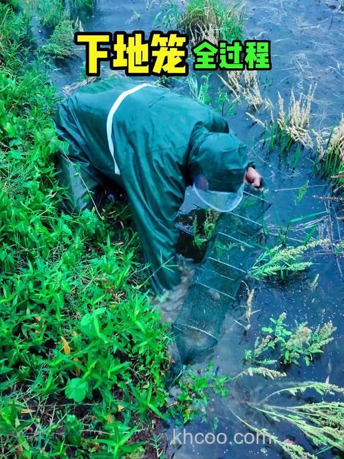 深水怎么下黄鳝地笼？