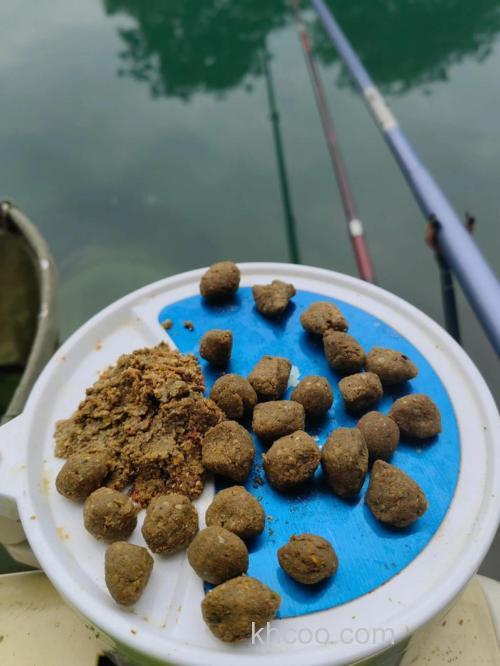 鲤鱼包食，炸弹饵