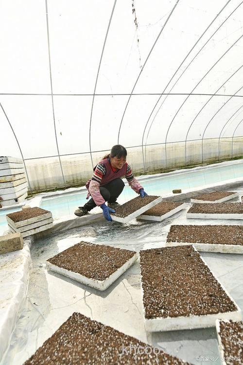 蚯蚓养殖的基料制备