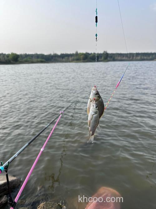 秋季钓鳊鱼钓多深？