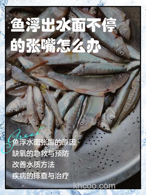 鱼起浮不开口怎么办呢?