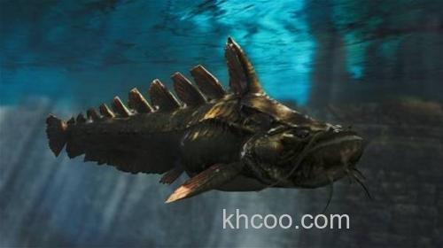 怪物猎人2 dos古代鱼