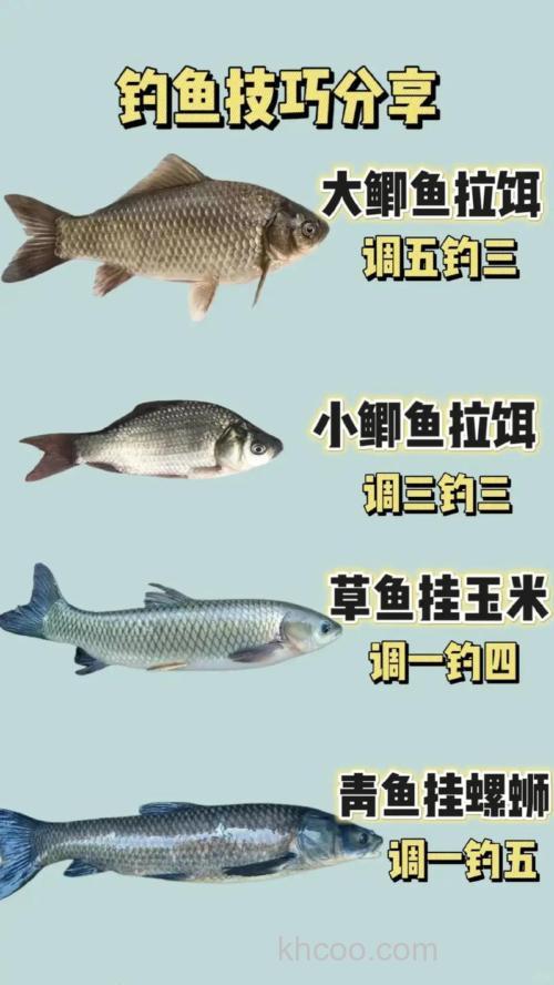 钓鱼新手入门基础知识有哪些？