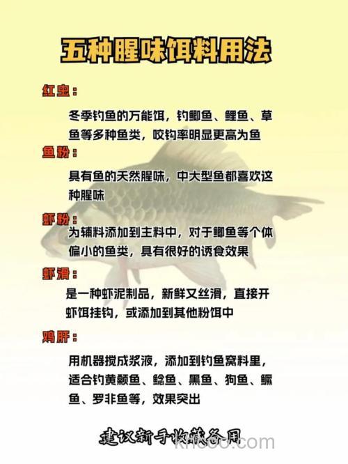 钓鱼饵料香腥与腥香有什么区别