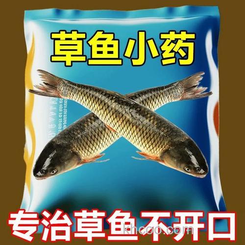 春天钓鱼用什么商品面食鱼饵