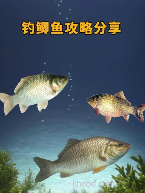 九月份怎么钓鲫鱼鲤鱼？