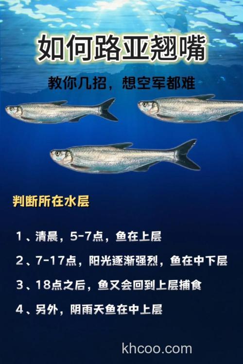 请教路亚高手们。钓翘嘴的方法?