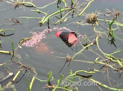 走水的河道钓草鱼打窝的2种方式