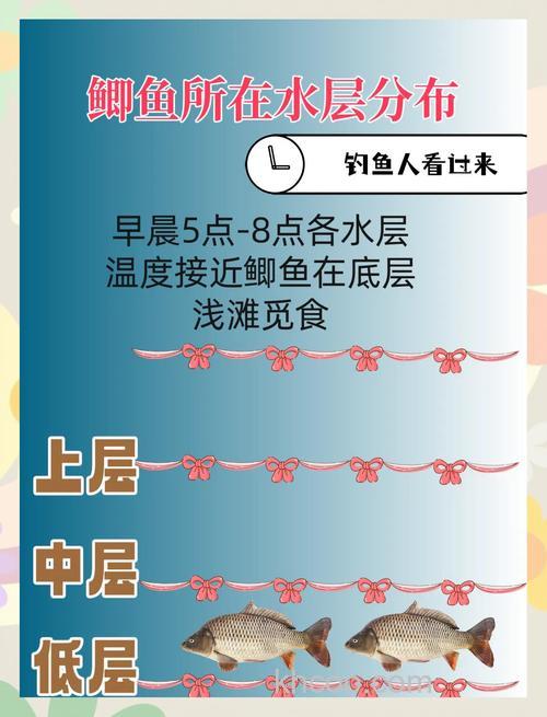 冬季野钓大板鲫的时间是几点？下午四点到晚上十点！