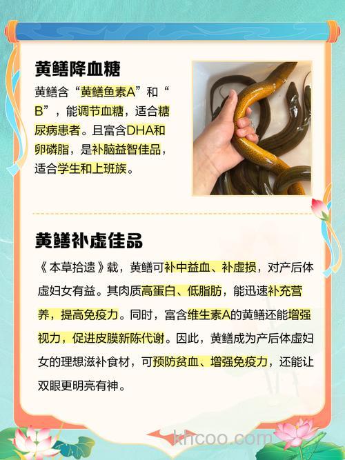 在农村，自己想养殖黄鳝，黄鳝的饲料怎样配比？