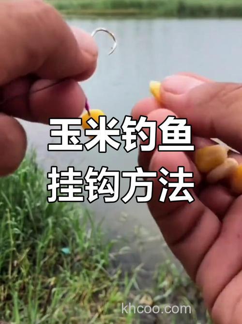 鲢鳙用玉米可以钓吗？