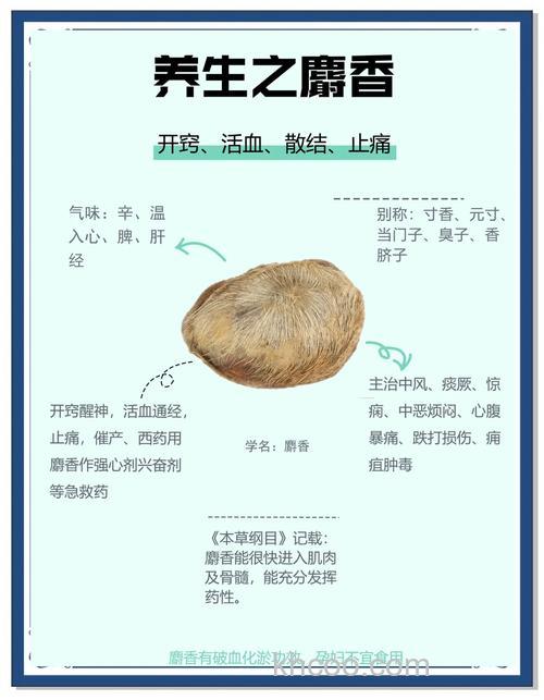 麝香和维生素b2同用可以吗