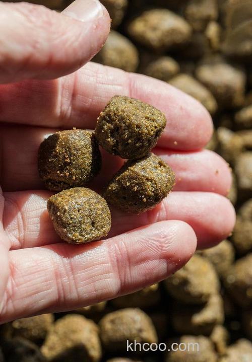 如何使用菜籽饼糟食饵钓鱼