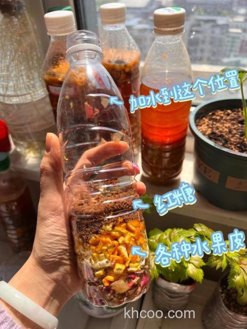 自制水果酵素的做法,自制水果酵素怎么做好吃,自制水果酵