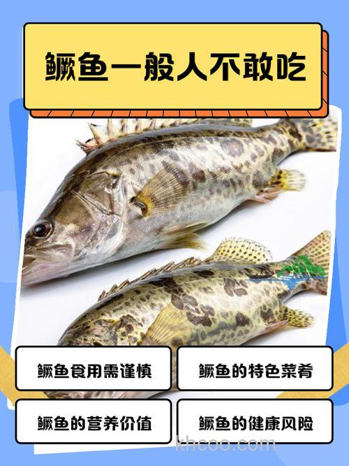 淡水湖肉质最好的鱼？