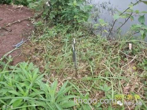 地插钓法，不用竿和漂，坐等鱼饵上钩