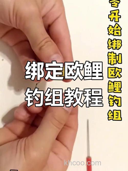 欧式钓鲤鱼饵料绑法？