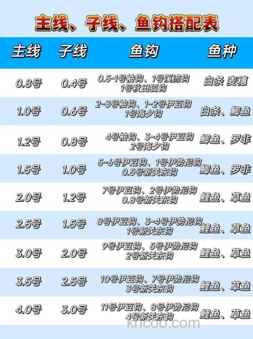为什么说钓鱼主线与子线搭配要合理呢？