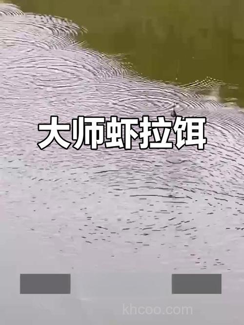 大师虾拉饵这款饵料好用吗？