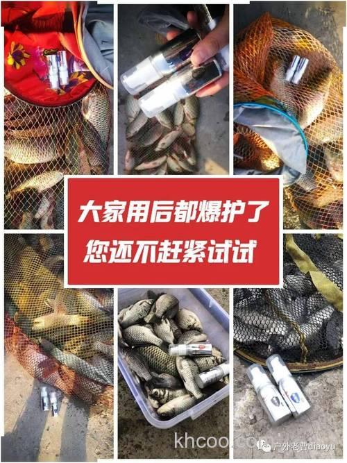 窝子里有没有鱼怎么判断出来？