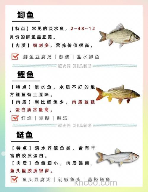 市场上卖的鲤鱼食如何配制