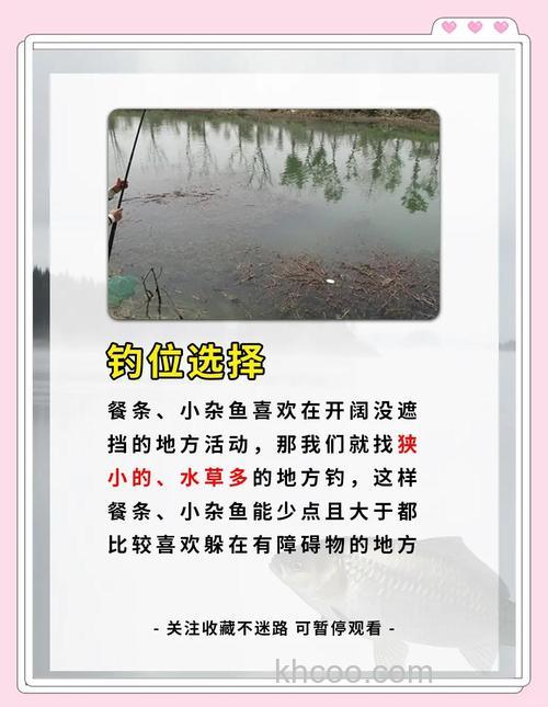 小鱼闹窝怎么办 钓鲤鱼避免小鱼的办法