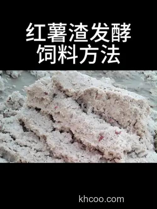 红薯如何发酵做饵料？