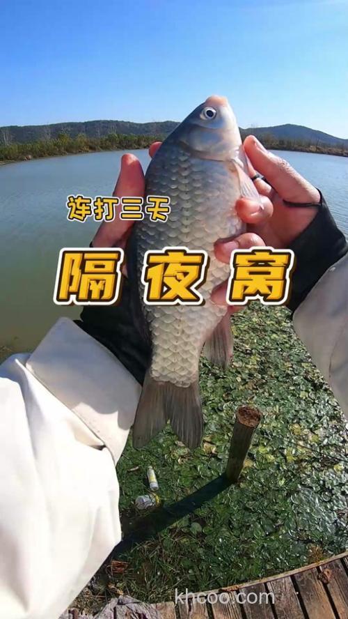 冬季打隔夜窝打多少的量？