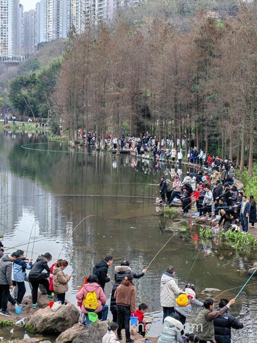 请教昆明的的钓友!