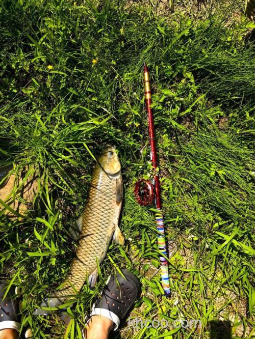 秋季谷麦钓多深？