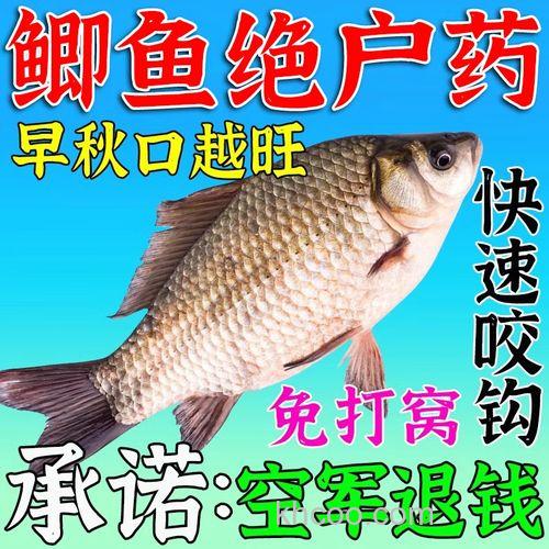 谷道香秋冬鲫钓鱼小药有没有效果的？