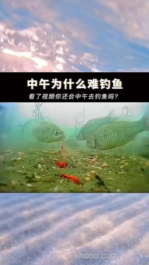 为什么有人说神仙难钓中午鱼？