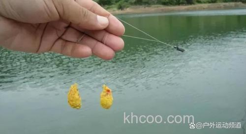 顶漂提竿却不中鱼的原因是什么？