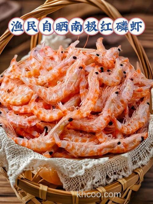 红虫蚯蚓和南极磷虾哪个更好？