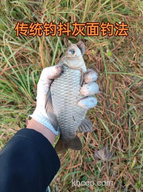 有这3种“钓法”就够了，狂拉大板鲫不是梦
