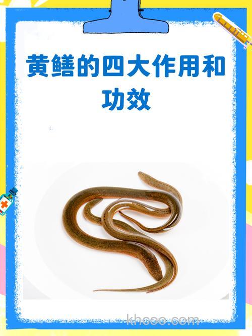 什么声音能引虾鳝,或者食料能引虾鳝,要那种效果好的!