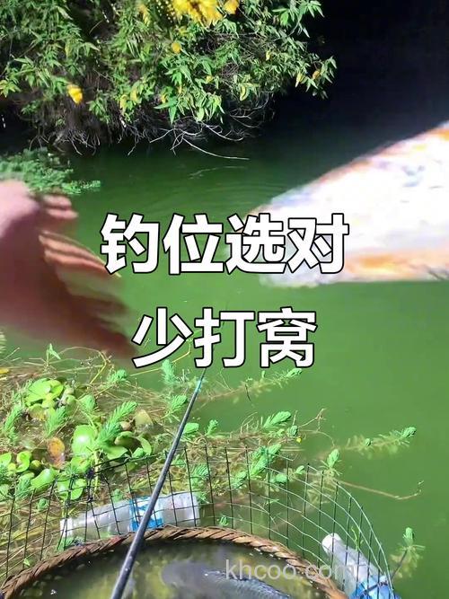 野钓打窝打在什么位置?