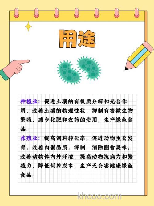 EM菌的应用