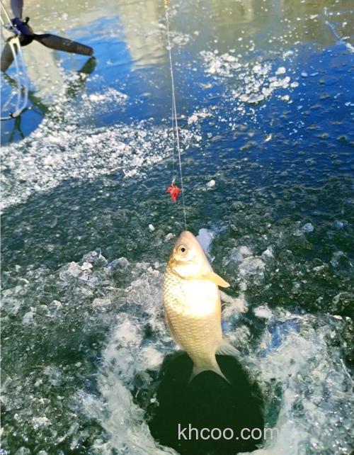 冬季好钓鱼的天气有哪些呢？