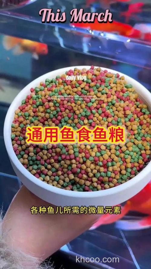 鲫鱼食料可以喂金鱼吗？