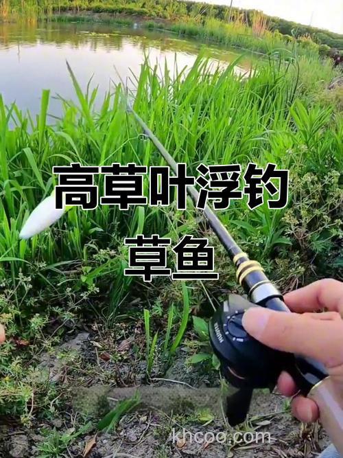 用什么打窝诱草鱼最快?浮钓草鱼最佳方法是什么？