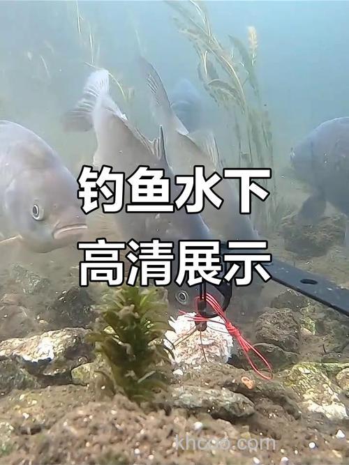 钓爆炸钩饵料水下状态