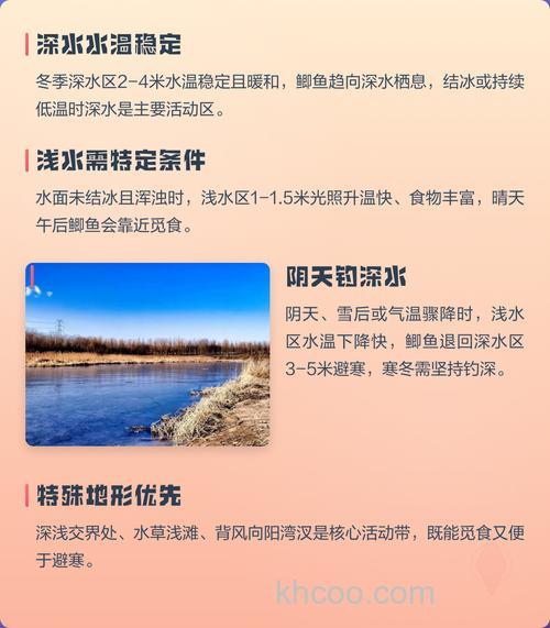 冬季钓鲫鱼是钓深水还是浅水？深浅都要兼顾！