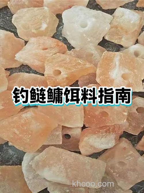 炒鲢鳙饵料的方法？