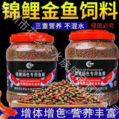 锦鲤吃什么饵料？