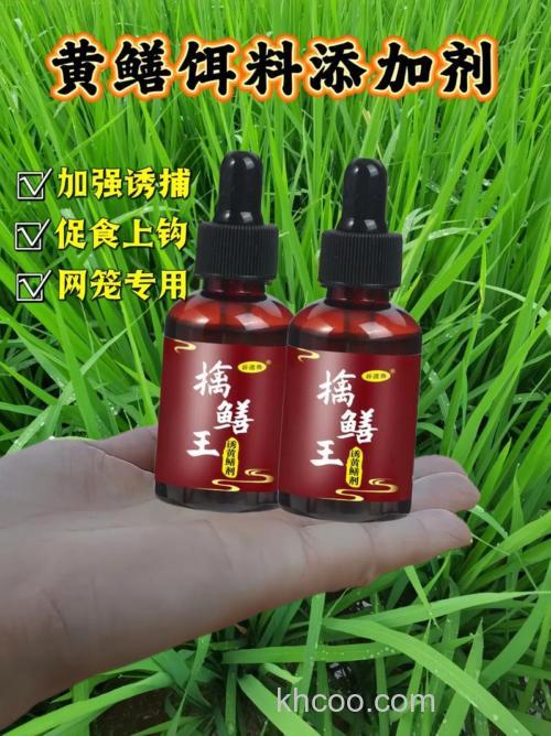 捕野生黄鳝用什么诱饵