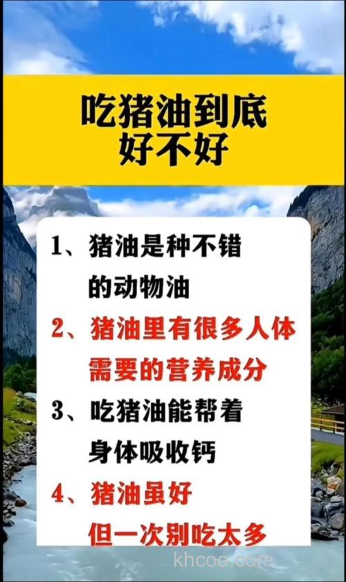 猪饲料添加猪油好不好