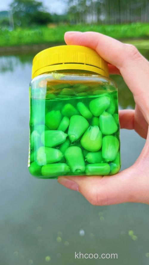 中秋后水库钓草鱼用什么玉米？