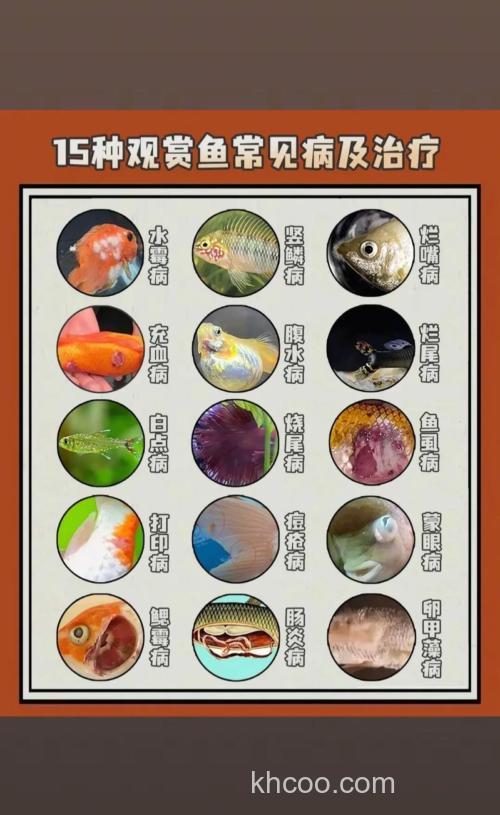 1鱼尾巴上有白毛，2还往一边翻，3鱼鳃有血，这3种怎么治，是什么病？