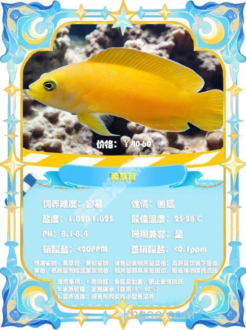 草莓味果酸钓什么鱼?